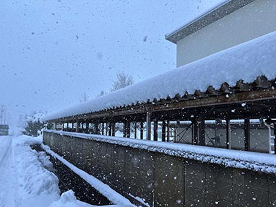 大雪による駐輪場折板板金屋根積雪被害
